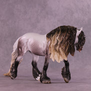 Nicholas LE-15 FCM Irish Cob by Ellen Robbins and Ashley Palmer HS25