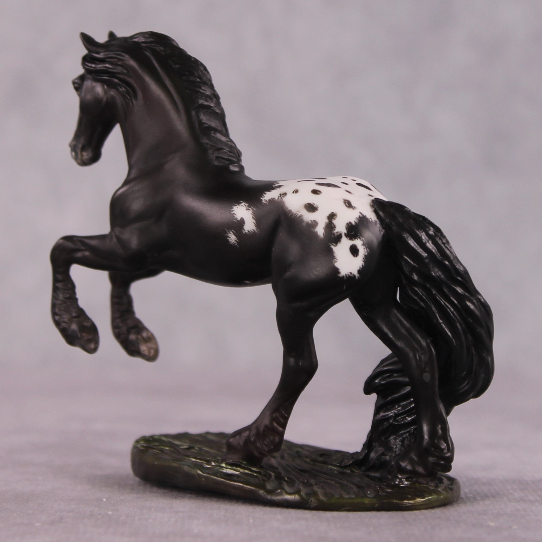 "Tachete" EFCM Friesian Chip By Kristen Cermele