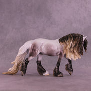 Nicholas LE-15 FCM Irish Cob by Ellen Robbins and Ashley Palmer HS25