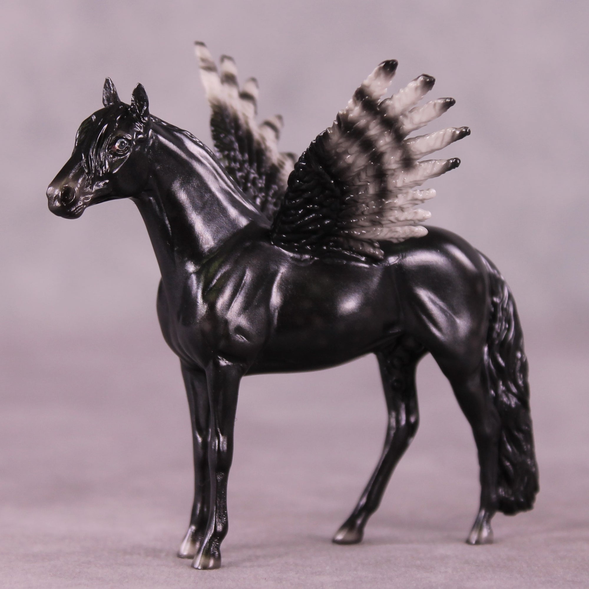 "Puck" FCM Andalusian Chip Blind Grab Bag - Painted By Ellen Robbins CL25