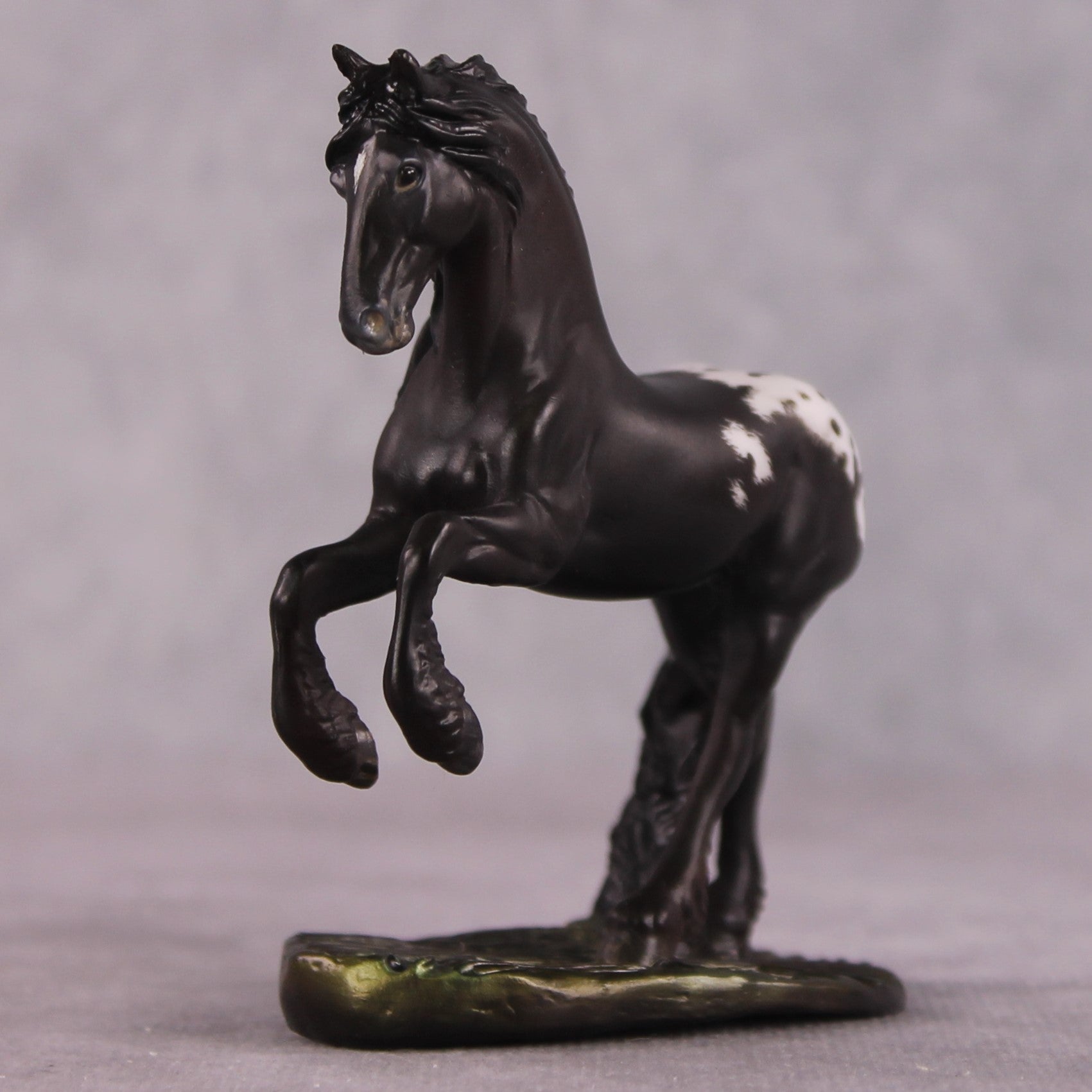 "Tachete" EFCM Friesian Chip By Kristen Cermele