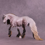 Nicholas LE-15 FCM Irish Cob by Ellen Robbins and Ashley Palmer HS25