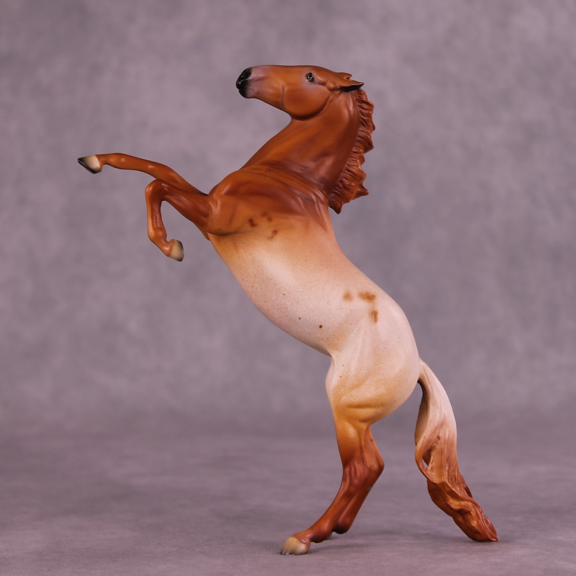 Madeliefje Sample FCM Pebble Rearing Horse by Dawn Quick SS925