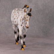 Julia OOAK Golden Leopard Appaloosa with Silver Accents Mule By Dawn Quick HS24