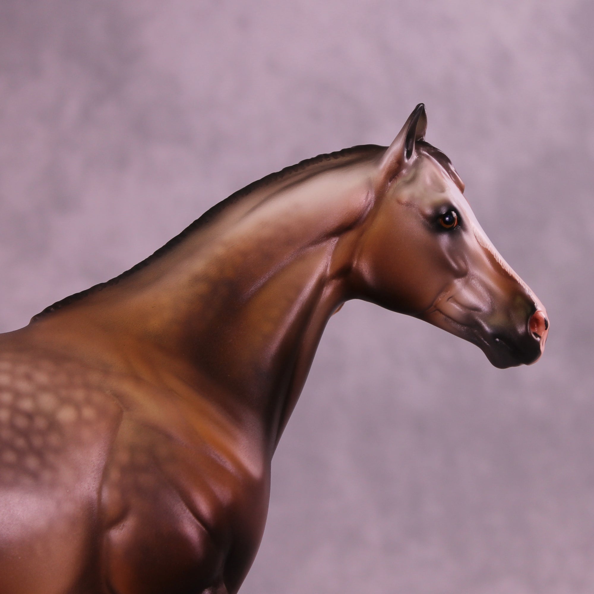 Mungo Jerry OOAK FCM Ideal Stock Horse by Caroline Boydston Best Offer 12/23/2025