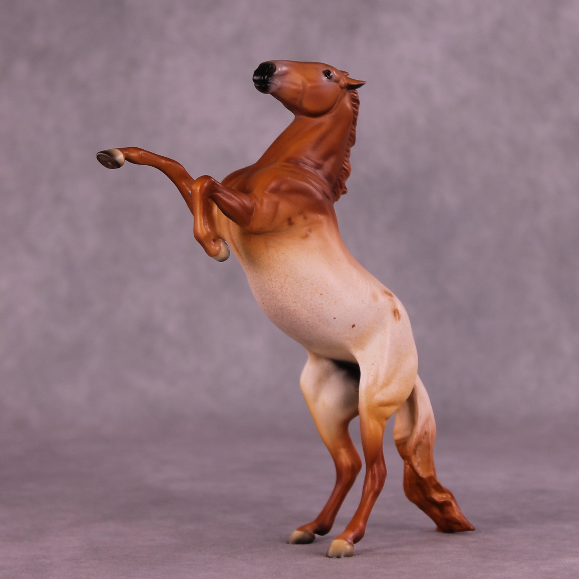 Madeliefje Sample FCM Pebble Rearing Horse by Dawn Quick SS925