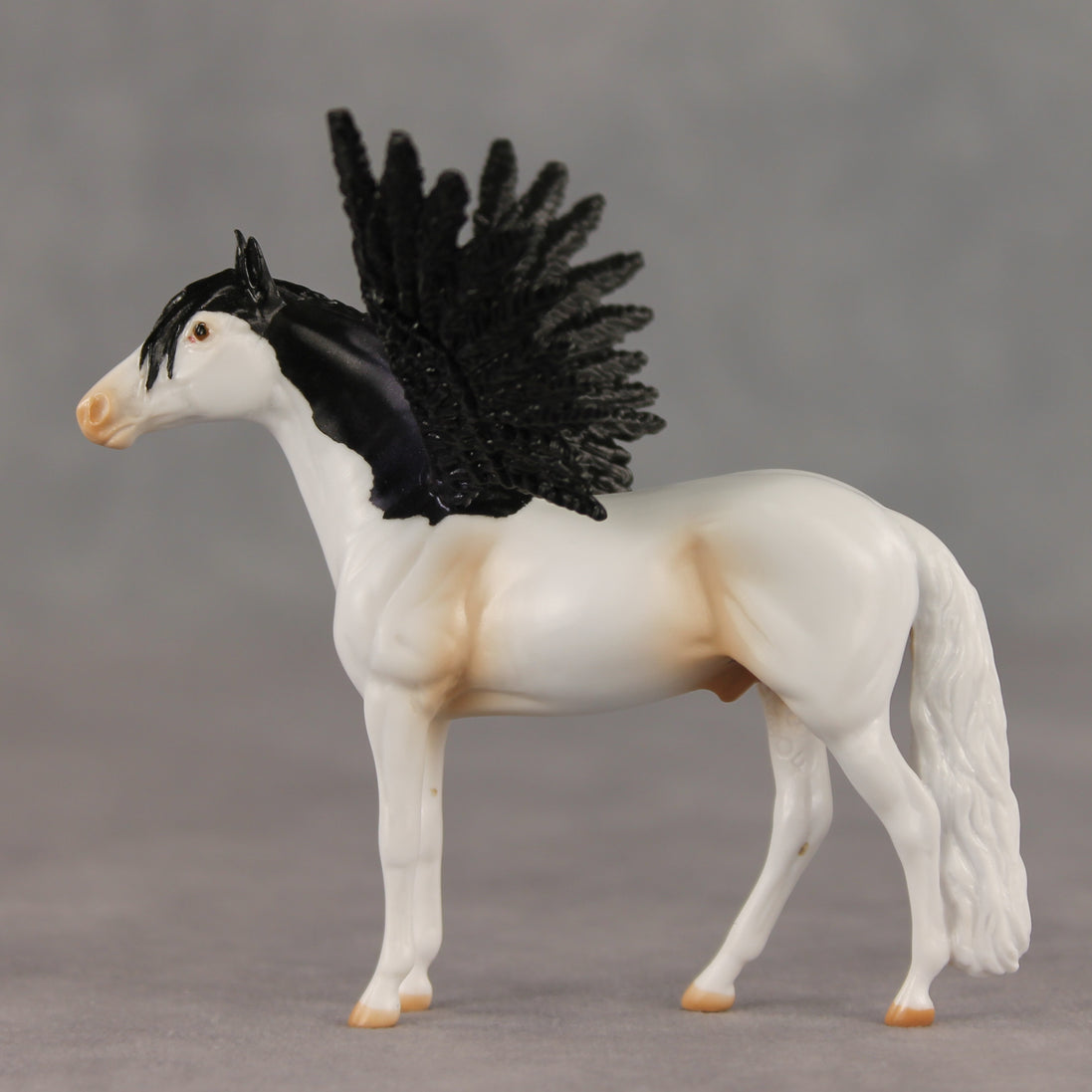 Perry FCM LE-2 Chip Andalusian by Angela Marleau FTF26