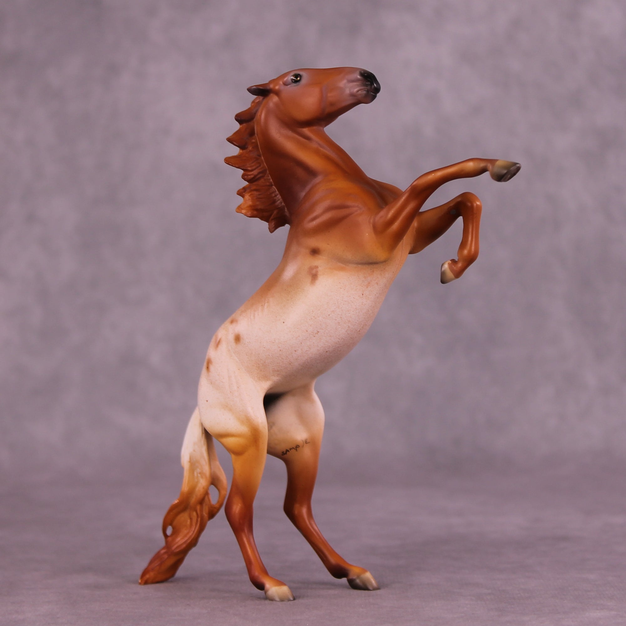 Madeliefje Sample FCM Pebble Rearing Horse by Dawn Quick SS925