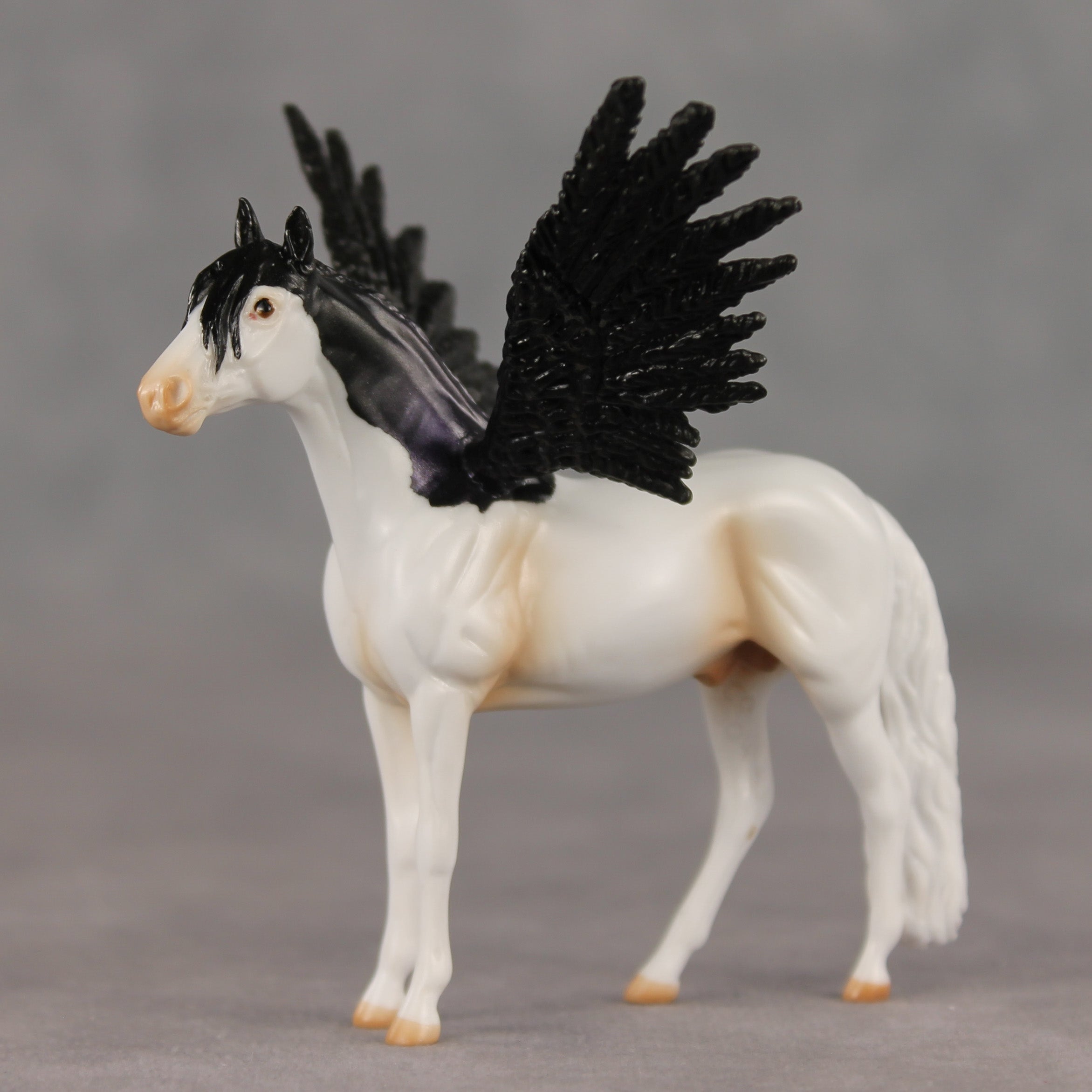 Perry FCM LE-2 Chip Andalusian by Angela Marleau FTF26