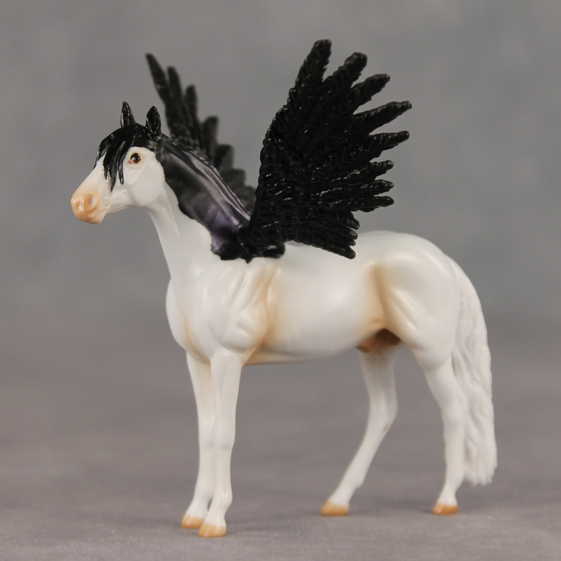 Perry FCM LE-2 Chip Andalusian by Angela Marleau FTF26