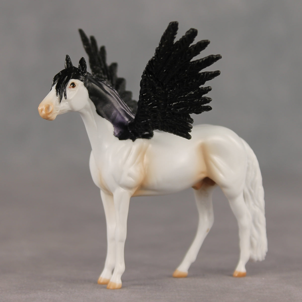 Perry FCM LE-2 Chip Andalusian by Angela Marleau FTF26