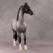 Simple Wish OOAK Blue Roan Custom Morgan By Ellen Robbins HS24