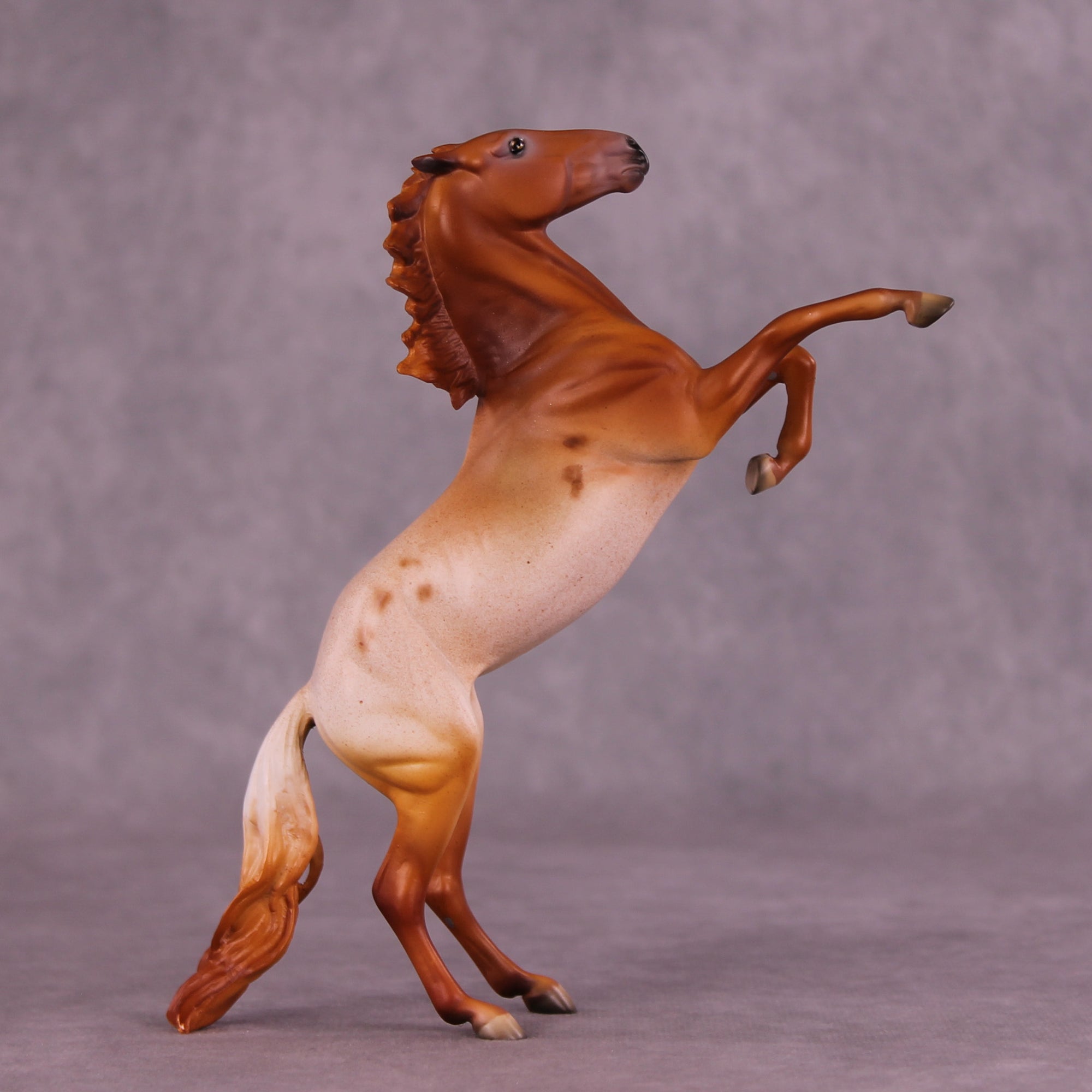 Madeliefje Sample FCM Pebble Rearing Horse by Dawn Quick SS925