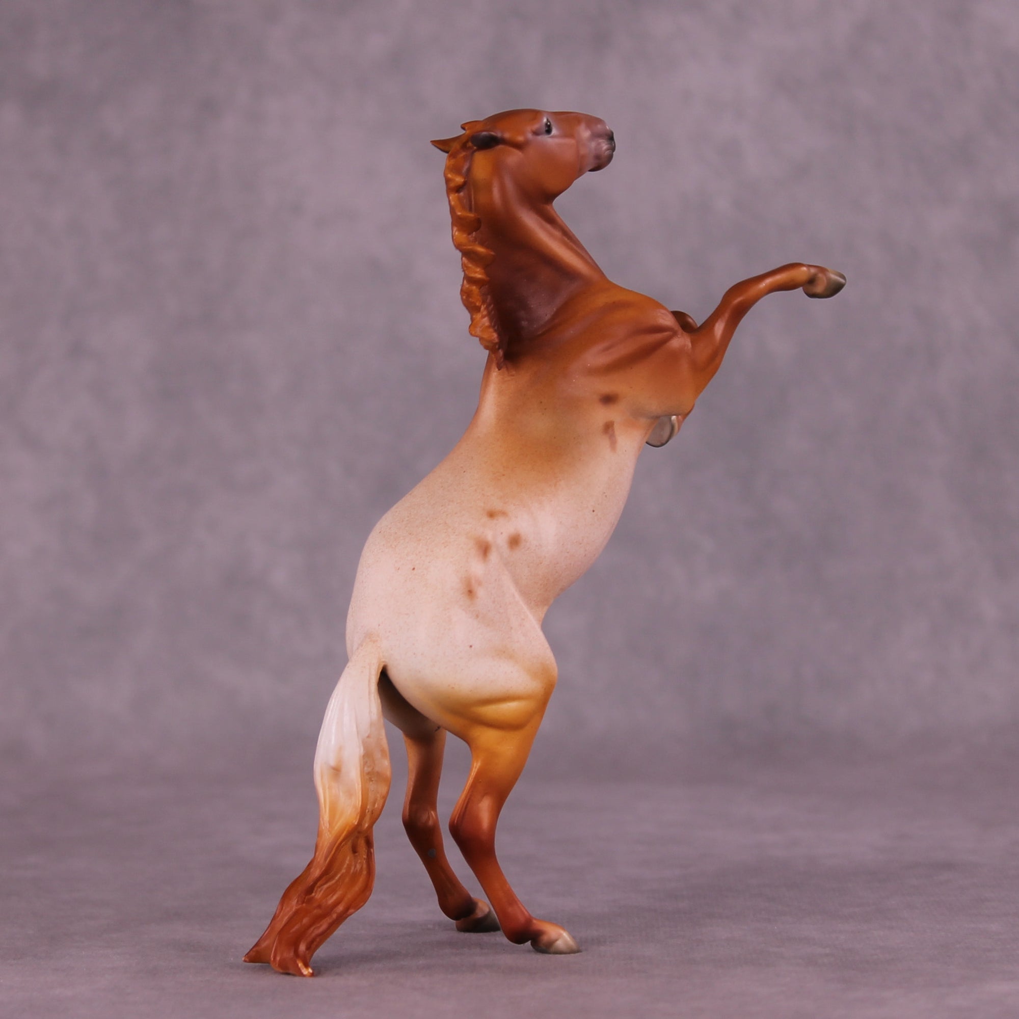 Madeliefje Sample FCM Pebble Rearing Horse by Dawn Quick SS925