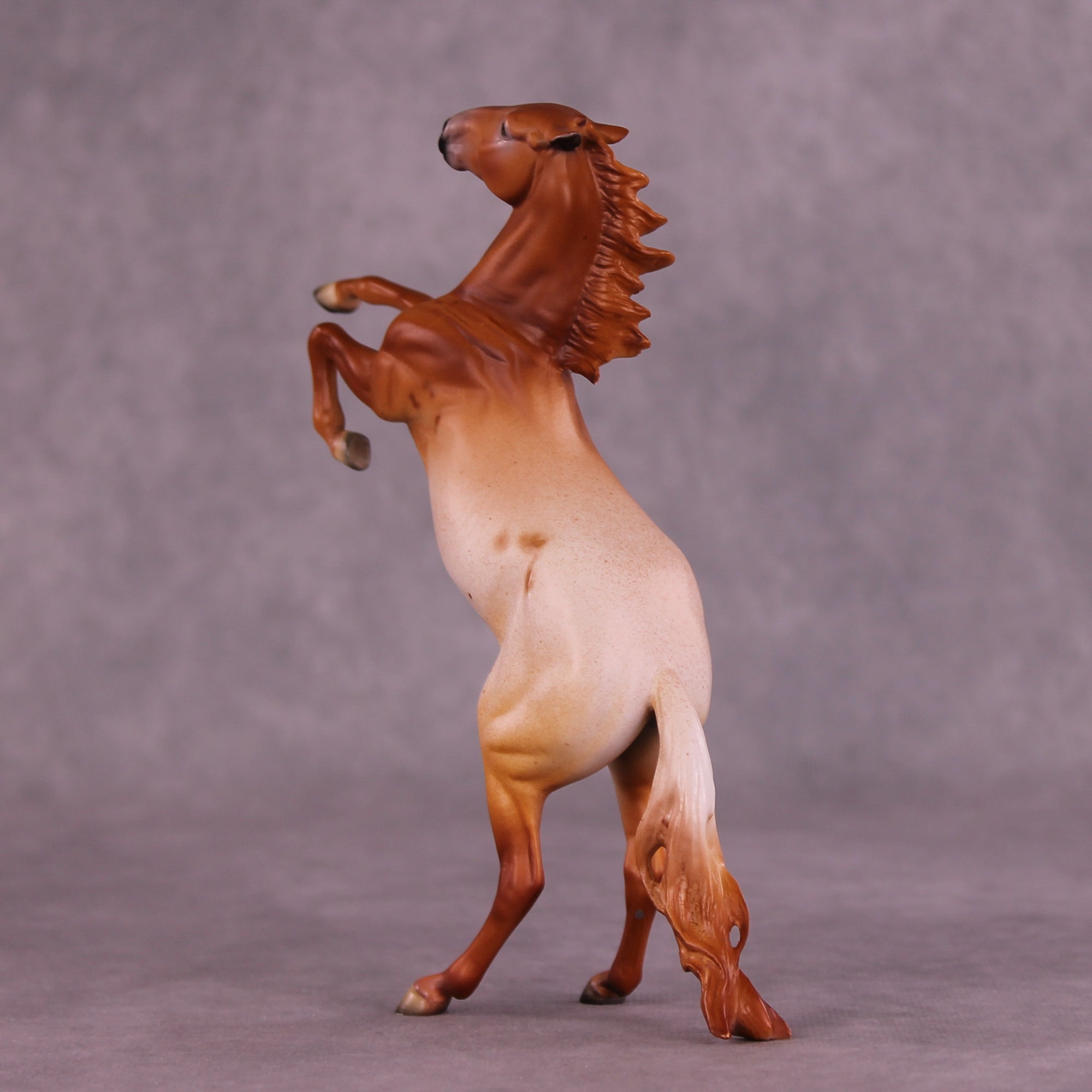 Madeliefje Sample FCM Pebble Rearing Horse by Dawn Quick SS925