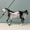 Aster SAMPLE Dappled Grey Custom Thoroughbred By Ellen Robbins EQ24 Based on AotH Entry From Rosanna P. Brost SS1024