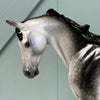 Aster SAMPLE Dappled Grey Custom Thoroughbred By Ellen Robbins EQ24 Based on AotH Entry From Rosanna P. Brost SS1024