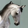 Aster SAMPLE Dappled Grey Custom Thoroughbred By Ellen Robbins EQ24 Based on AotH Entry From Rosanna P. Brost SS1024