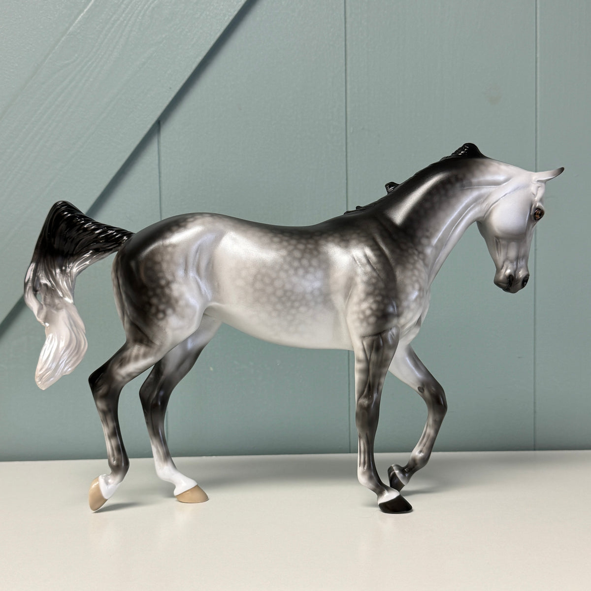 Aster SAMPLE Dappled Grey Custom Thoroughbred By Ellen Robbins EQ24 Based on AotH Entry From Rosanna P. Brost SS1024