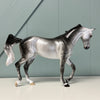 Aster SAMPLE Dappled Grey Custom Thoroughbred By Ellen Robbins EQ24 Based on AotH Entry From Rosanna P. Brost SS1024