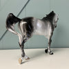 Aster SAMPLE Dappled Grey Custom Thoroughbred By Ellen Robbins EQ24 Based on AotH Entry From Rosanna P. Brost SS1024