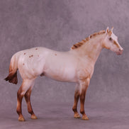 Polixenes LE-15 FCM Ideal Stock Horse by Ellen Robbins CL25