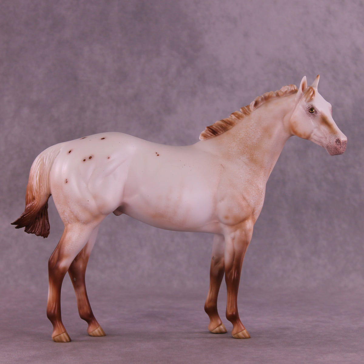 Polixenes LE-15 FCM Ideal Stock Horse by Ellen Robbins CL25