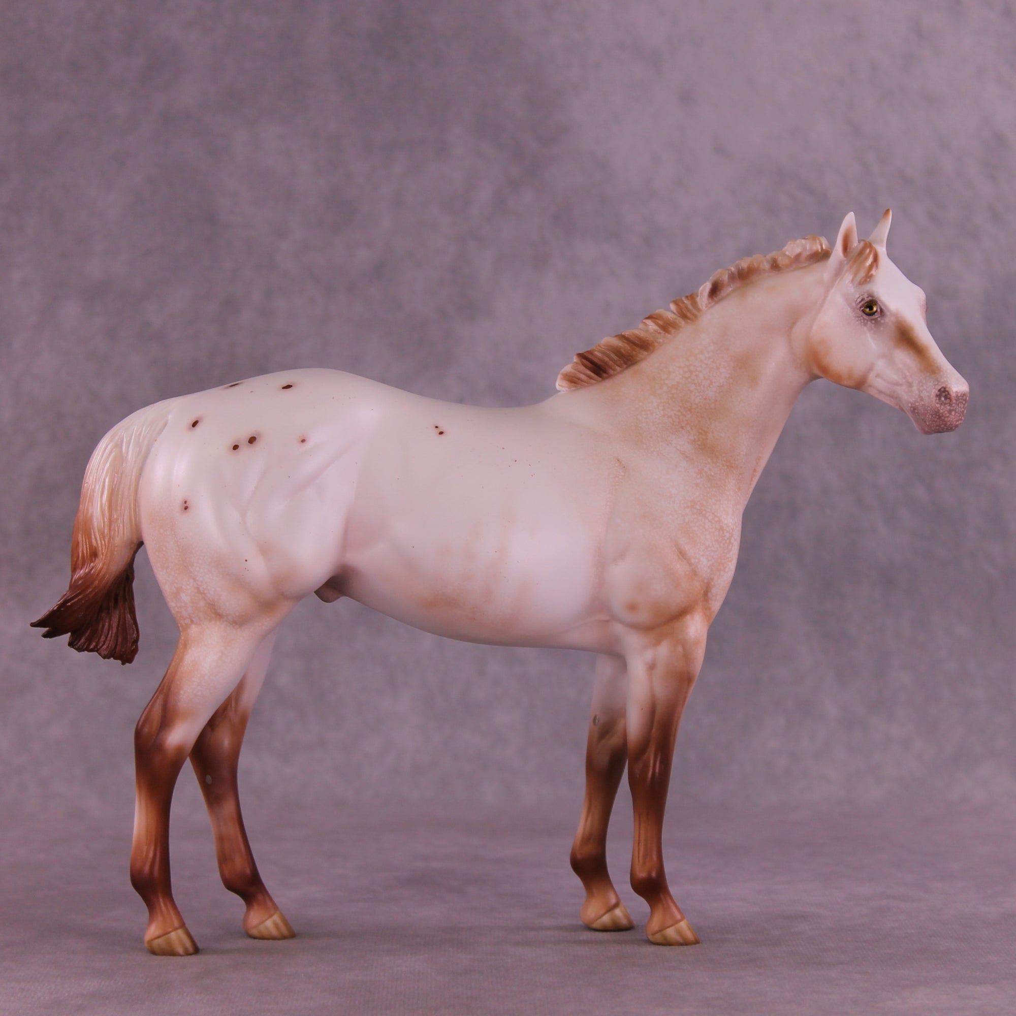 Polixenes LE-15 FCM Ideal Stock Horse by Ellen Robbins CL25
