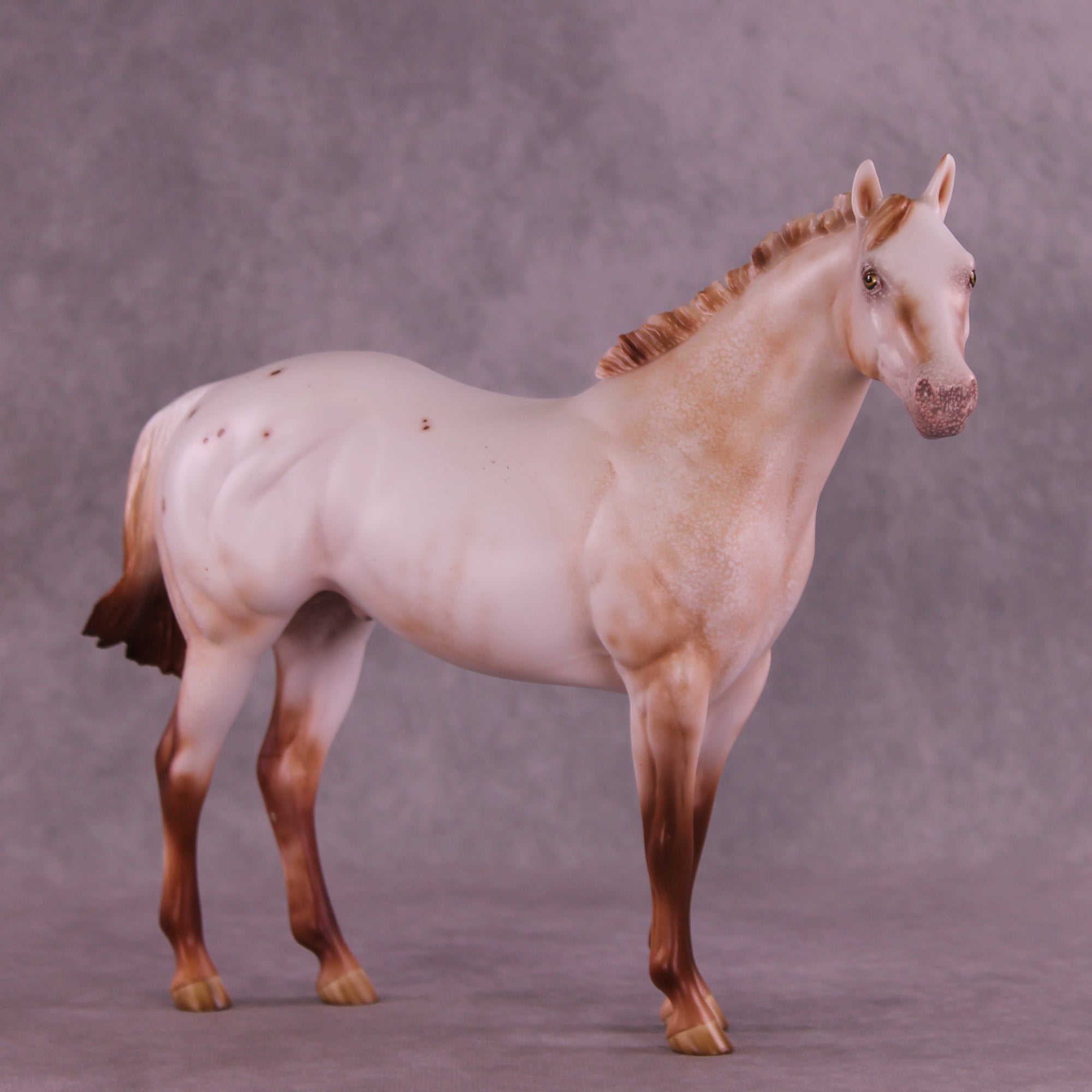 Polixenes LE-15 FCM Ideal Stock Horse by Ellen Robbins CL25