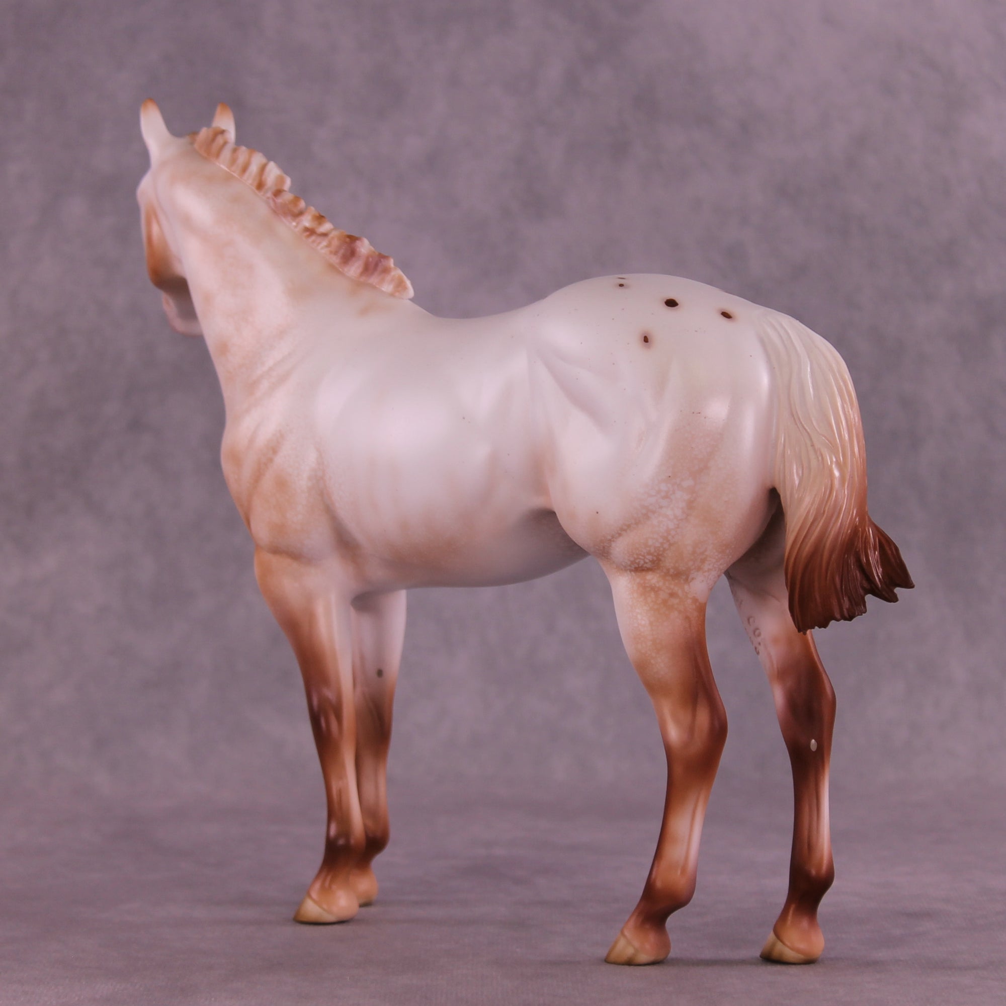 Polixenes LE-15 FCM Ideal Stock Horse by Ellen Robbins CL25