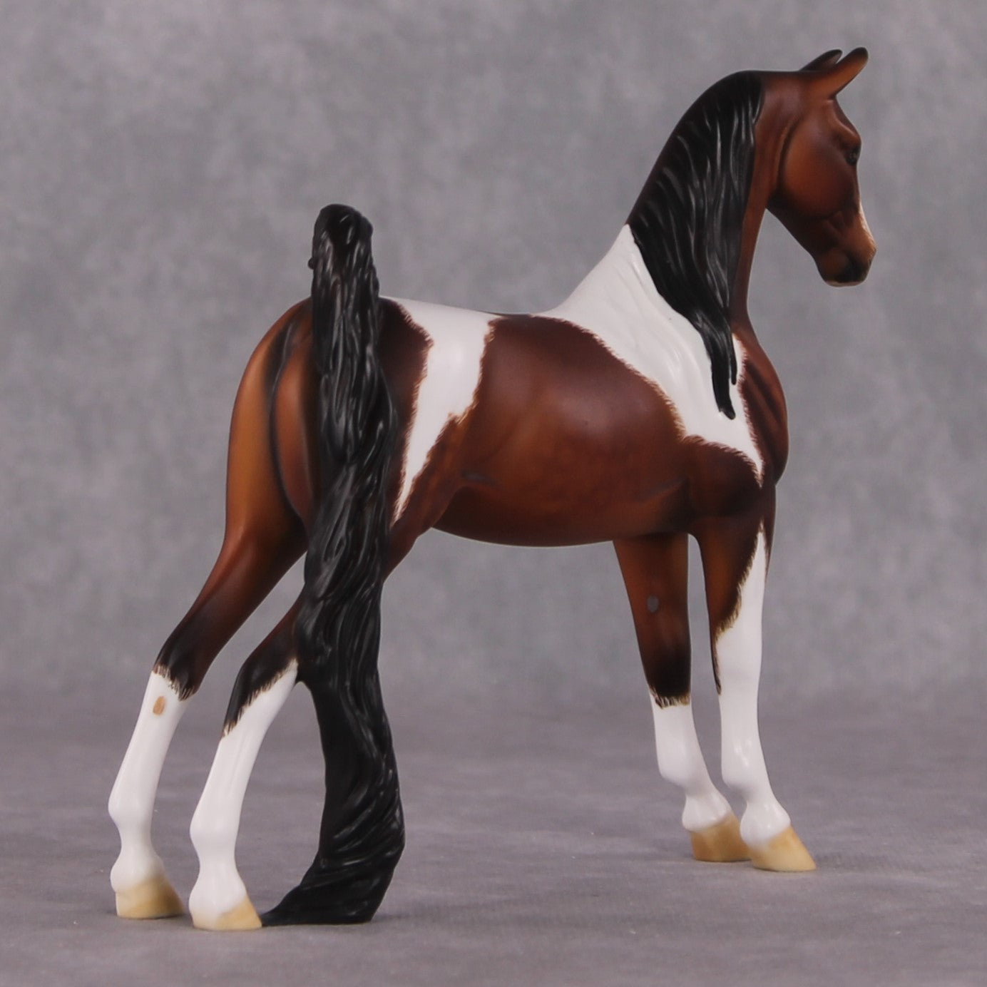 &quot;Archimedes&quot; OOAK Pebble Saddlebred By Dawn Quick SHCF25OS