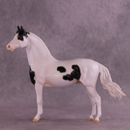 Pepperjack OOAK FCM Morgan by Jess Hamill DDOOAKs25