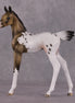 "Achellus" OOAK FCM Arab Foal By Dawn Quick SHCF25