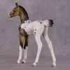 &quot;Achellus&quot; OOAK FCM Arab Foal By Dawn Quick SHCF25