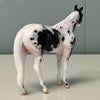 Howbeit OOAK Black Tobiano Stock Chip By Jess Hamill EQ24 End Of Month Sale SS724