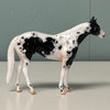 Howbeit OOAK Black Tobiano Stock Chip By Jess Hamill EQ24 End Of Month Sale SS724