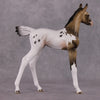 &quot;Achellus&quot; OOAK FCM Arab Foal By Dawn Quick SHCF25