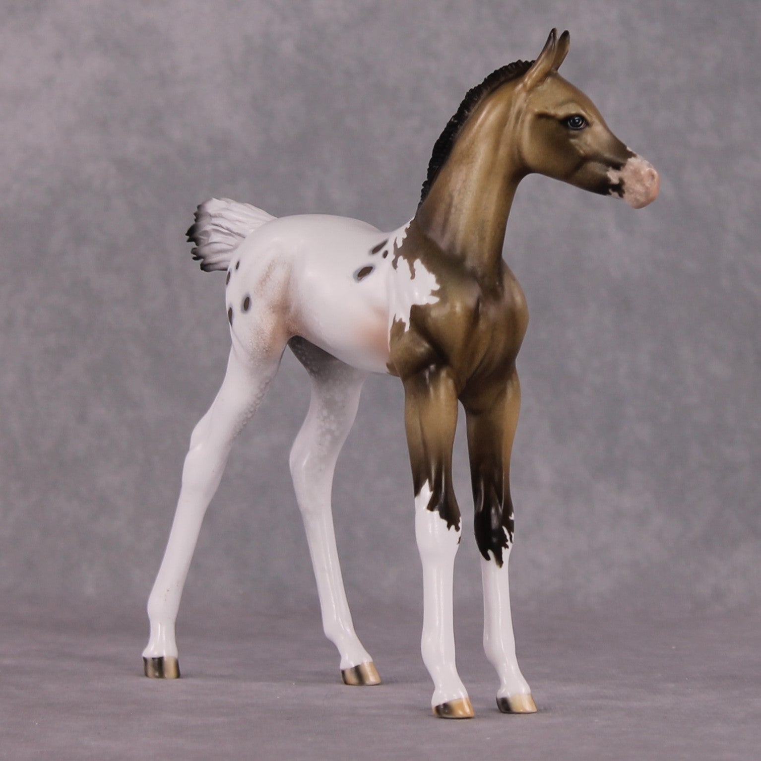 "Achellus" OOAK FCM Arab Foal By Dawn Quick SHCF25
