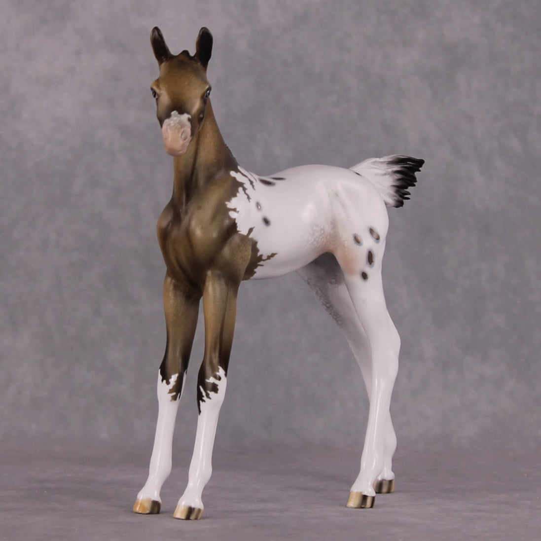 "Achellus" OOAK FCM Arab Foal By Dawn Quick SHCF25