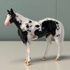 Howbeit OOAK Black Tobiano Stock Chip By Jess Hamill EQ24 End Of Month Sale SS724