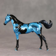 The Dress Blind Bag 6 EFCM Chip Arabians by Melanie Miller TO26