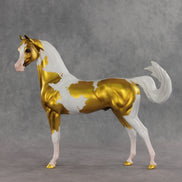 Going for Gold EFCM LE-5 Arabian Stallion by Melanie Miller TO26