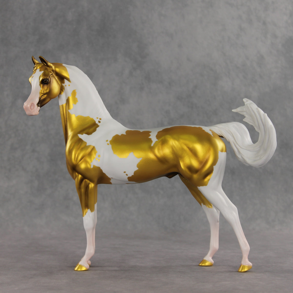 Going for Gold EFCM LE-5 Arabian Stallion by Melanie Miller TO26