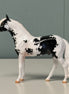 Albeit OOAK Black Tobiano Andalusian Chip By Jess Hamill EQ24
