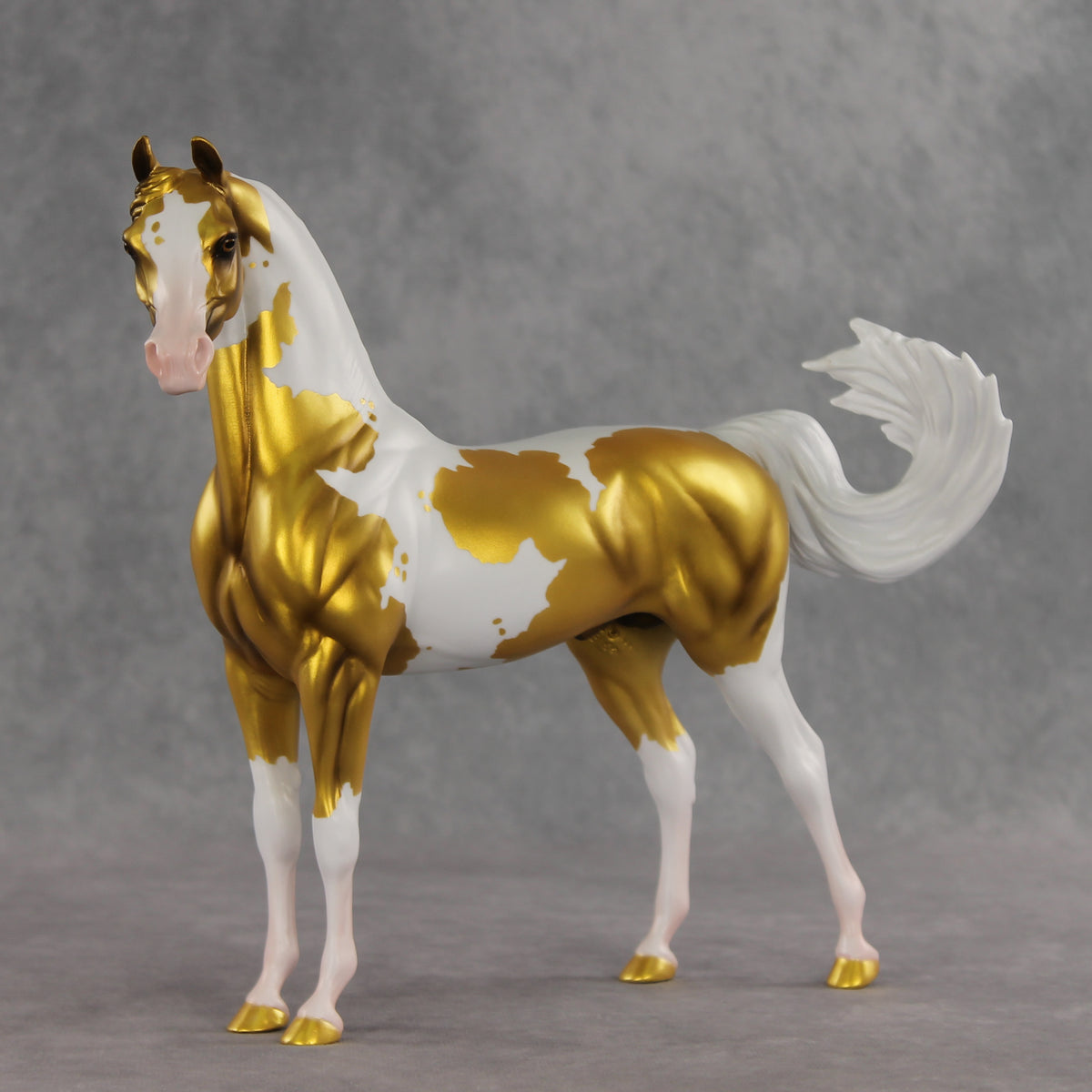 Going for Gold EFCM LE-5 Arabian Stallion by Melanie Miller TO26