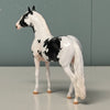 Albeit OOAK Black Tobiano Andalusian Chip By Jess Hamill EQ24