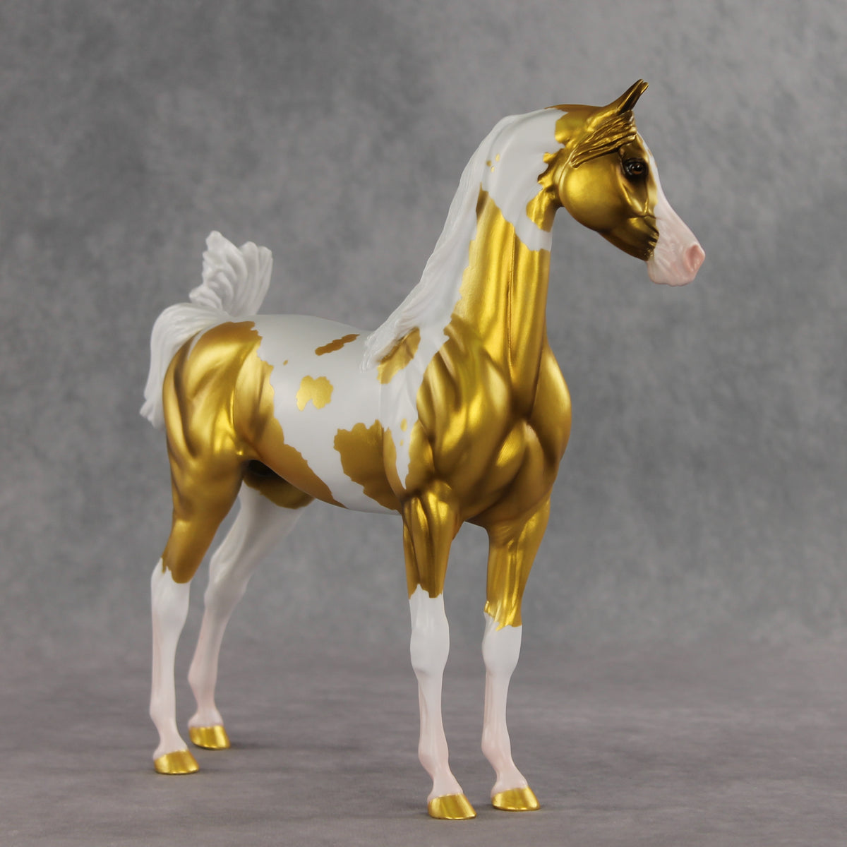 Going for Gold EFCM LE-5 Arabian Stallion by Melanie Miller TO26