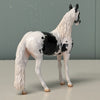 Albeit OOAK Black Tobiano Andalusian Chip By Jess Hamill EQ24