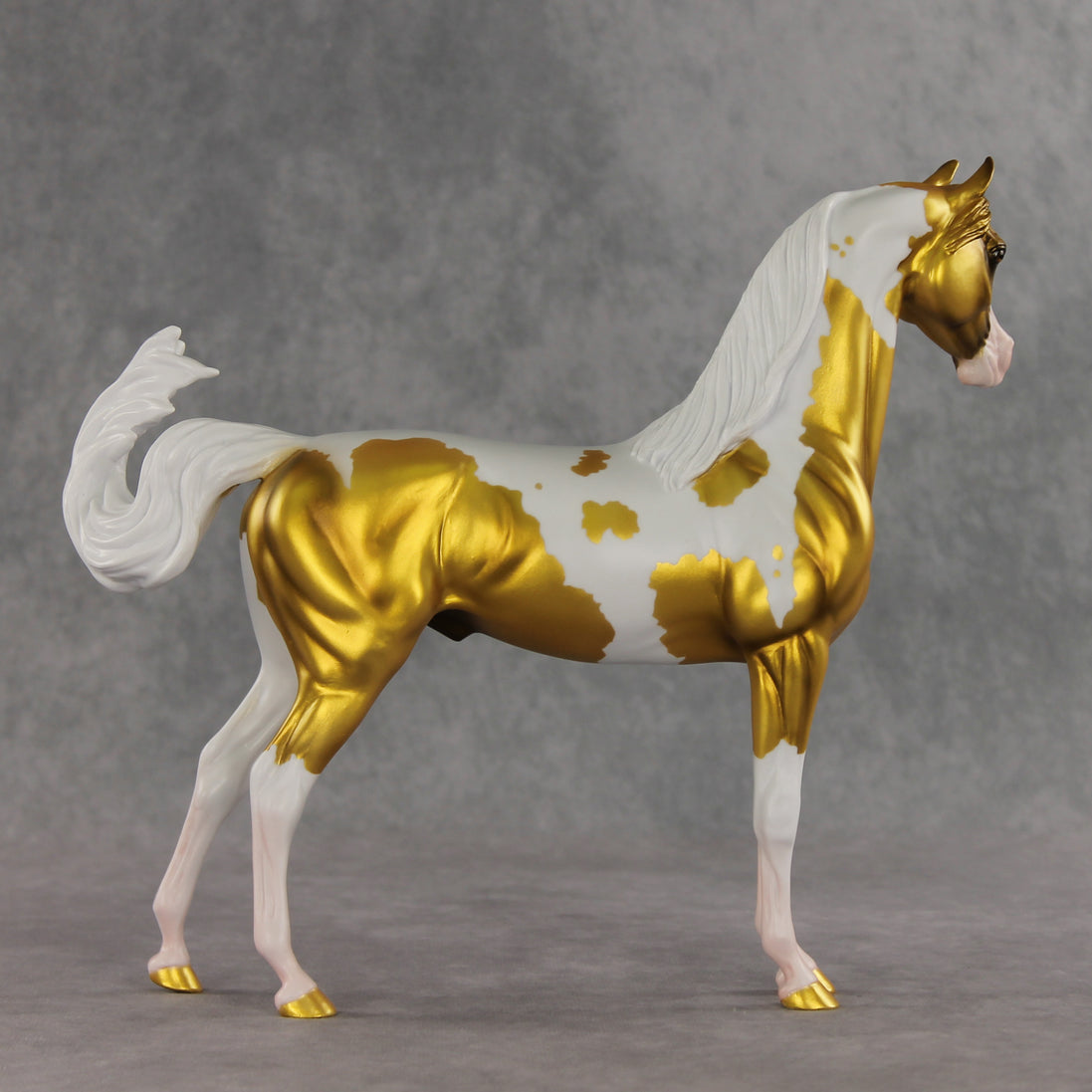 Going for Gold EFCM LE-5 Arabian Stallion by Melanie Miller TO26