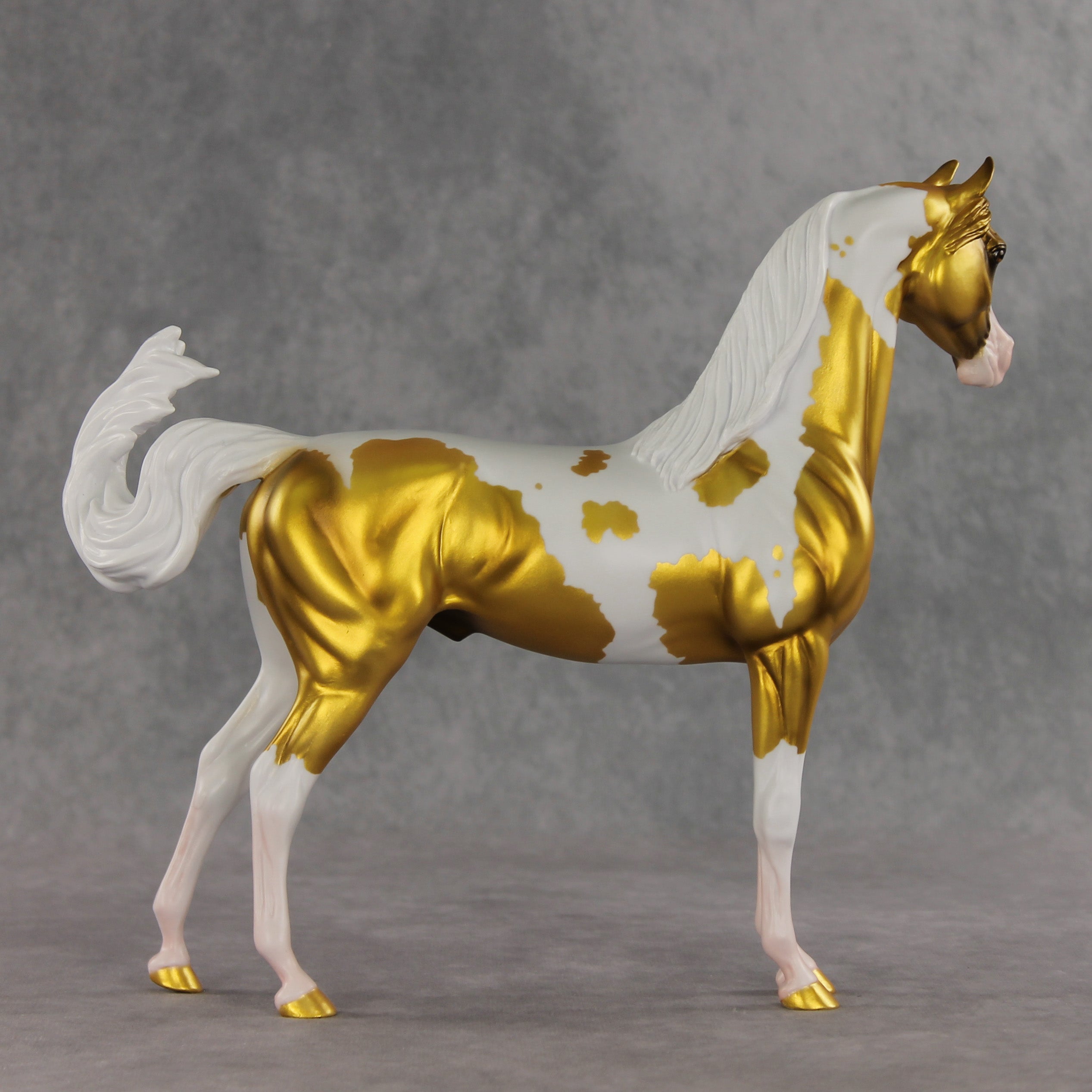 Going for Gold EFCM LE-5 Arabian Stallion by Melanie Miller TO26